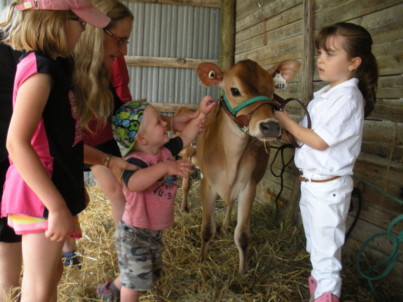 11) Livestock
